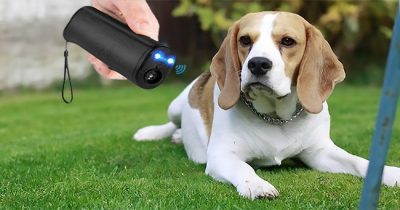 Best Ultrasonic Dog Repeller Reviews 2024 - Top 10 Picks