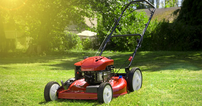 Best Gas Lawn Mowers 2020 (Reviews &amp; Buying Guide)